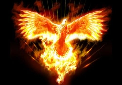 Bazar El Fenix de papá